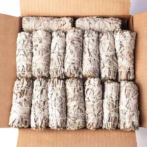 California White Sage (Salvia Apiana) Bulk (50 PACK)