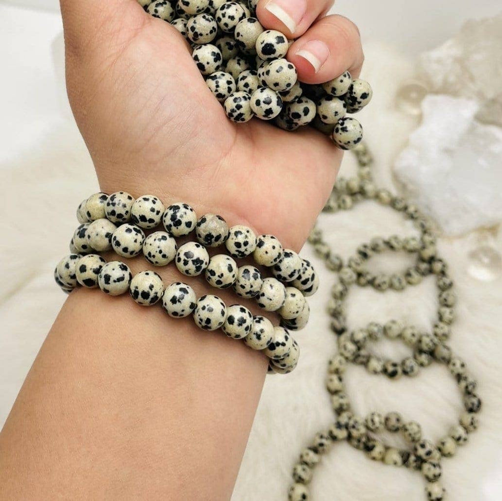 Dalmatian Jasper Bead Bracelets - (1BROWNSHELF-93)